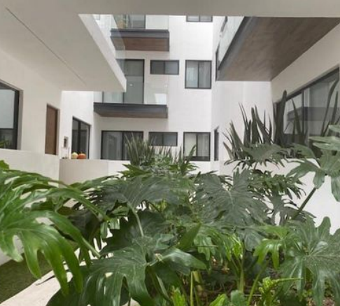 Captura de pantalla 2025-08-06 120651