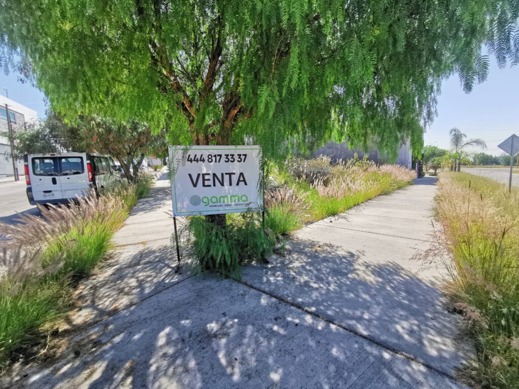 Imagen de WhatsApp 2025-08-14 a las 11.39.37_1f6034ff