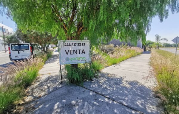 Imagen de WhatsApp 2025-08-14 a las 11.39.37_1f6034ff