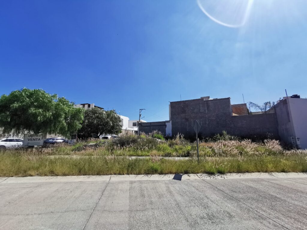 Imagen de WhatsApp 2025-08-14 a las 11.39.41_465d58f1