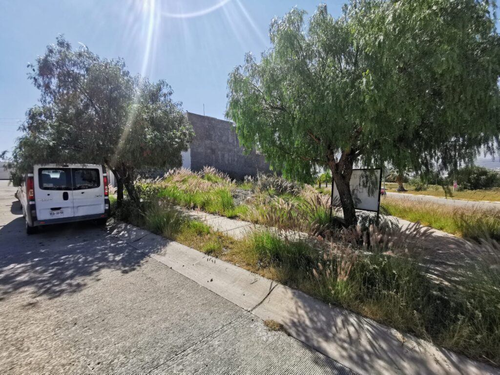 Imagen de WhatsApp 2025-08-14 a las 11.39.42_b36ec46a