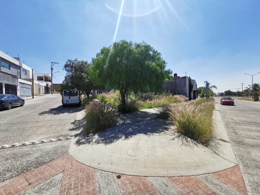 Imagen de WhatsApp 2025-08-14 a las 11.39.42_c69aa992