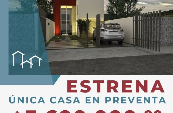 WhatsApp Image 2025-12-13 at 1.41.47 PM